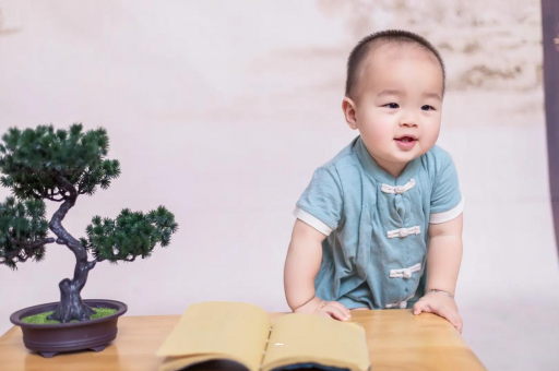 泉州可爱的企鹅宝宝